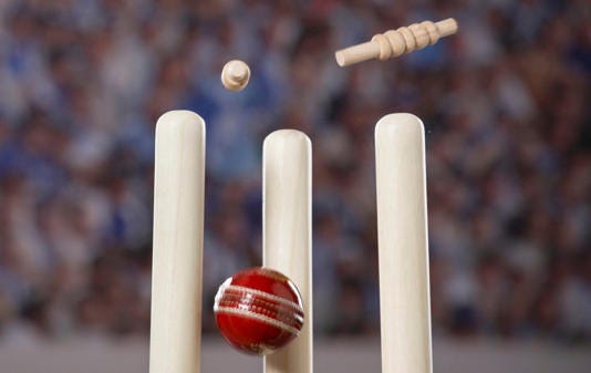 English cricket adds controversial 'Genderbread Person' to inclusive language guide