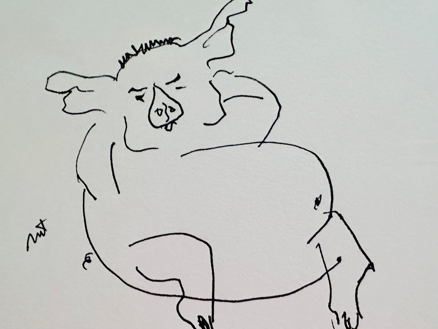 Environmental Pig Doodle Copyrighted by Mark Tulin