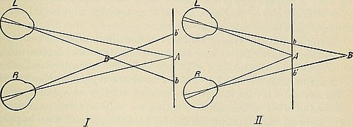 File:A text-book of physiology, for medical students and physicians (1907) (14591443558).jpg