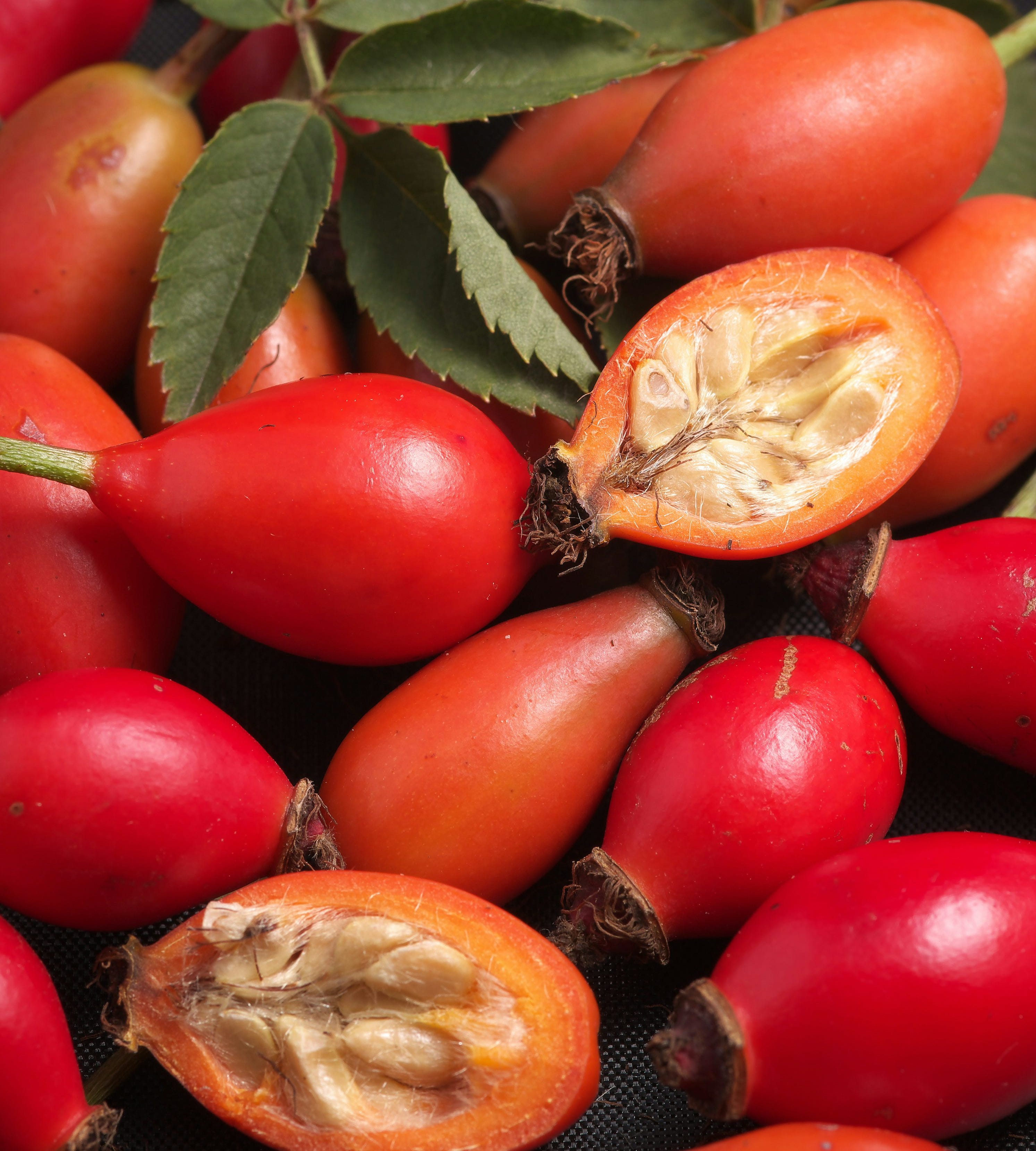 How to grow roses from seeds -- and everything you need to know about  growing strawberries