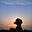 Ansh Saini's avatar