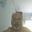 Anoop Mathew Alex's avatar