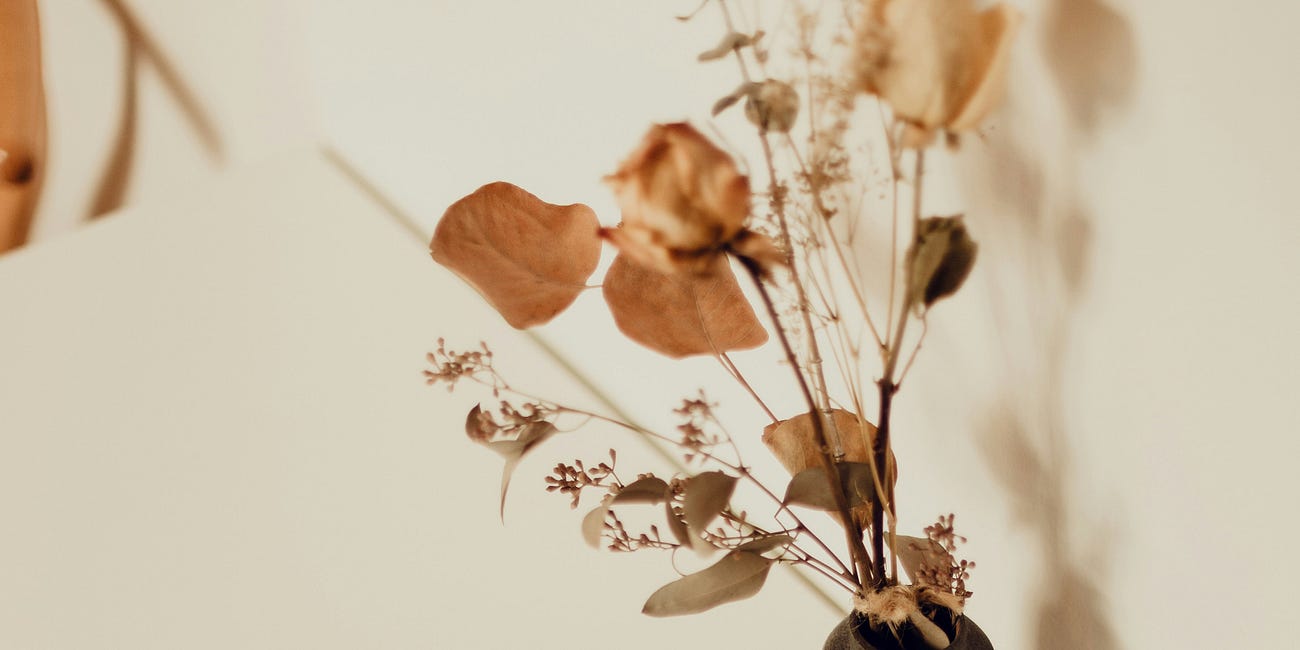 my 15 favorite spiritual formation and devotional reads from 2024