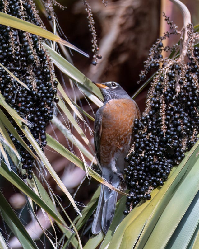 230104-misc-205-Edit.jpg 230104-misc-205-Edit.jpg