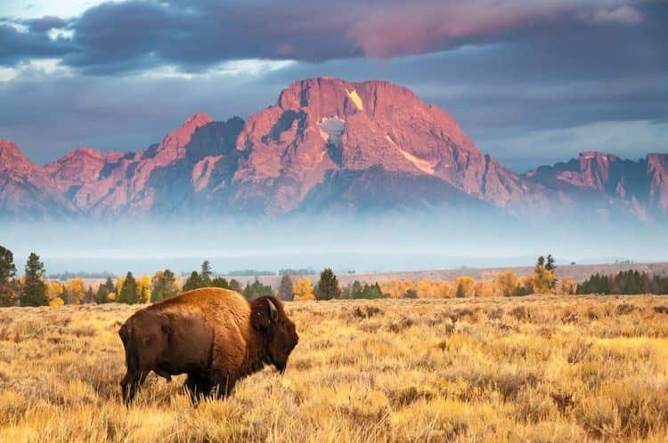 jackson-hole.jpg