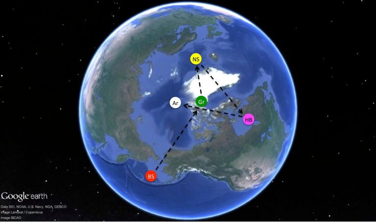 [Image: poleshifts.jpg?w=768&h=454]