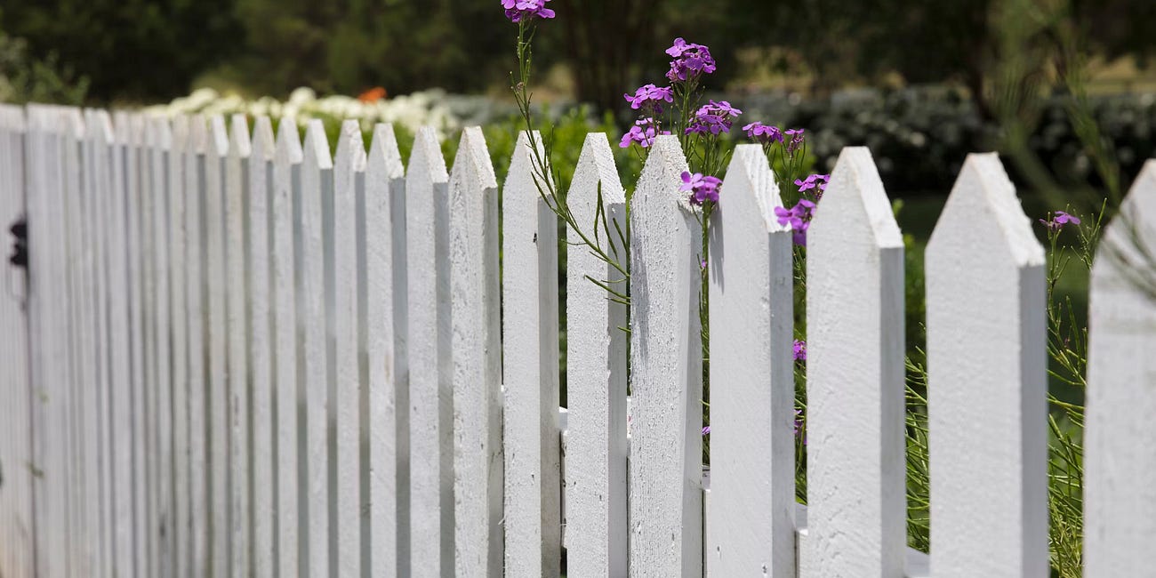 Blooming behind the boundary line