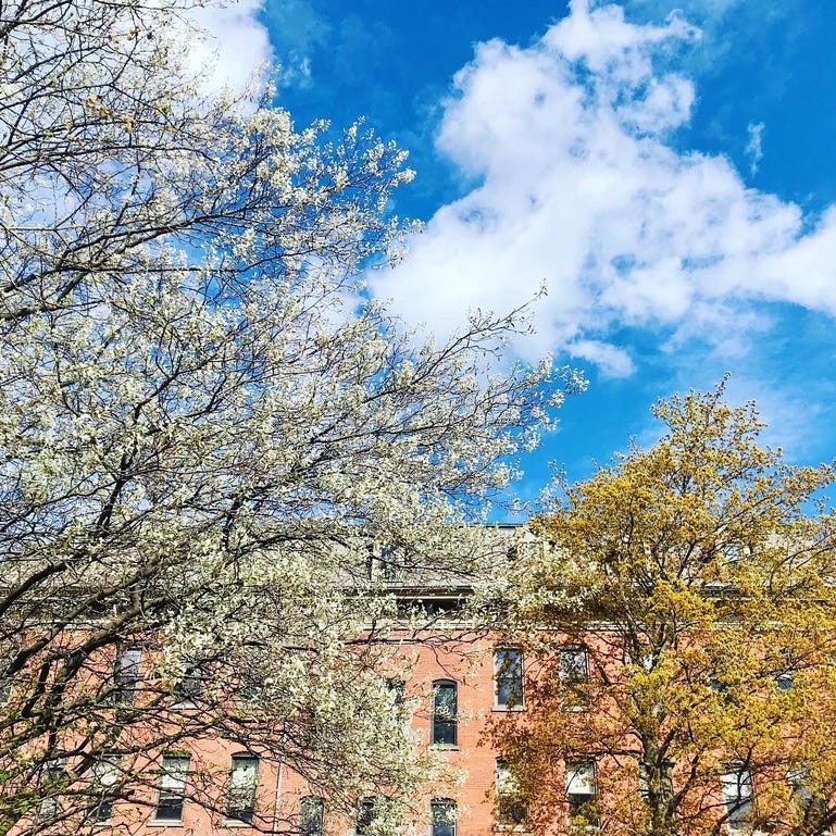 Following the Monastic Impulse