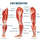 Leg Day Basics for Beginners