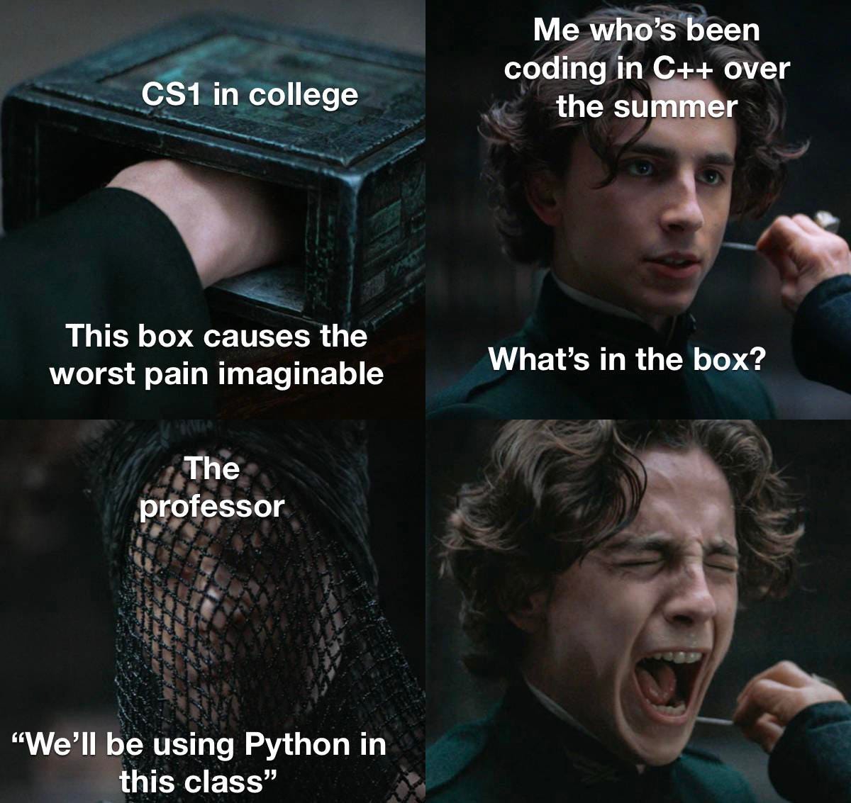 Joke about learning an unwanted programming language Joke about learning an unwanted programming language