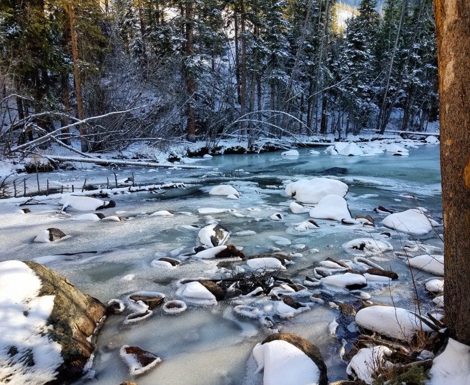 Goals - amateur nature photography Goals - amateur nature photography