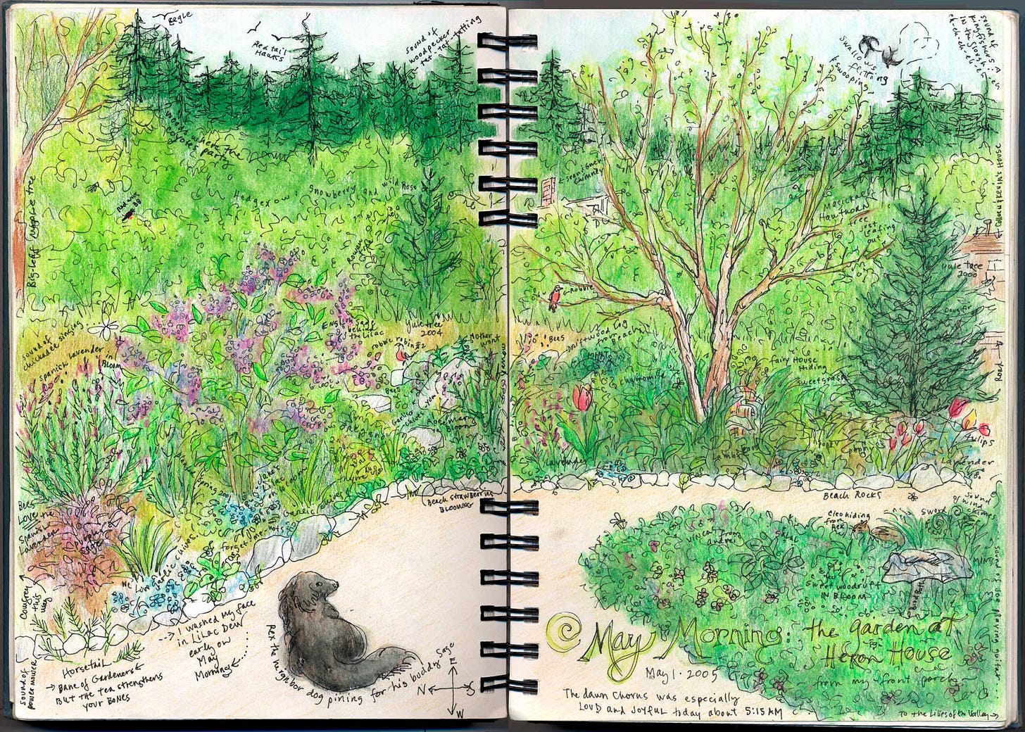 May Day 2005 Nature Journal pages by JPC