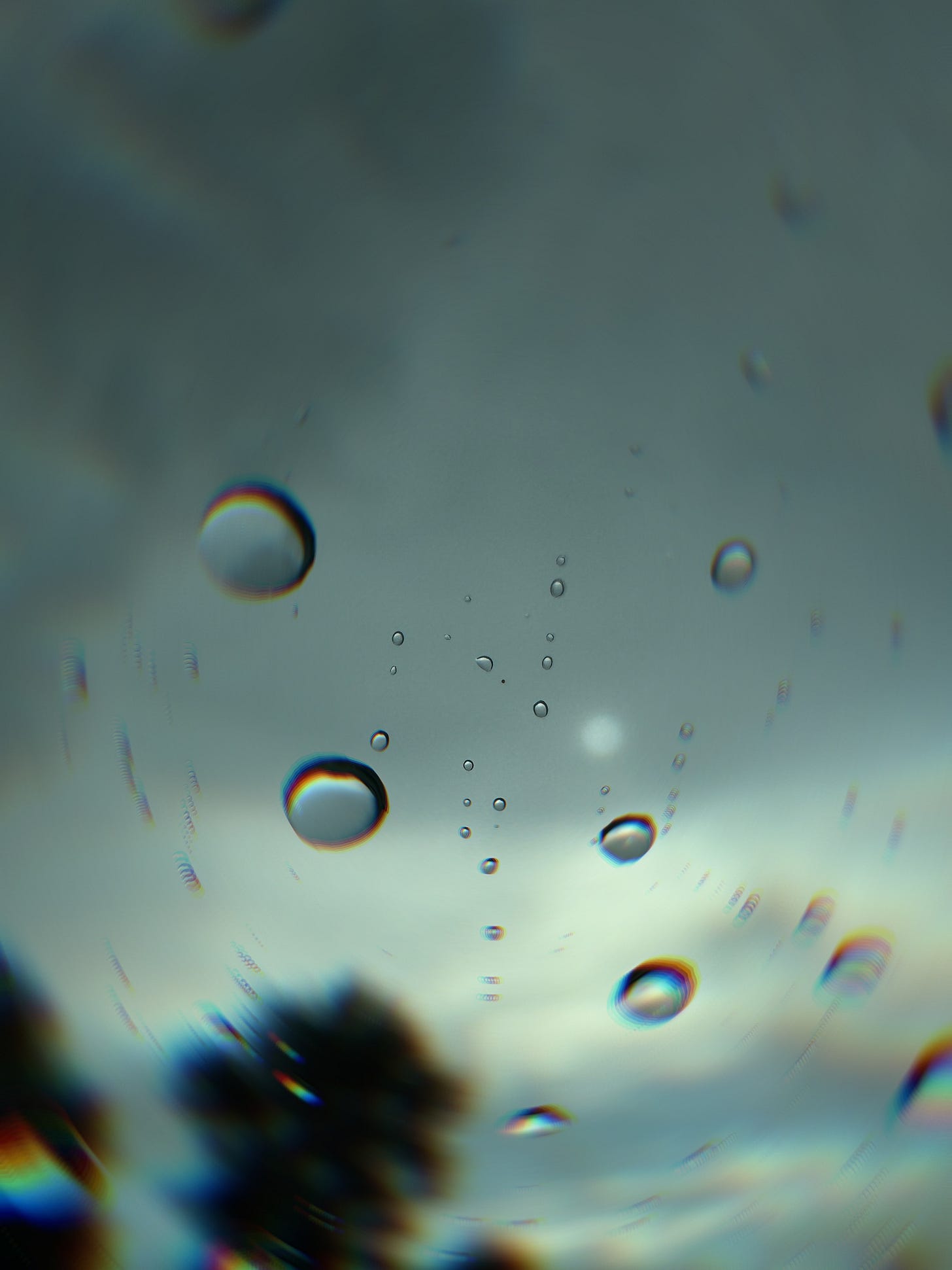 Raindrops on a window blur the view of trees and a gray sky behind them. Light reflects in the droplets, creating faint rainbow edges. The image feels distorted, distant, and emotionally heavy—like trying to see clearly through pain.