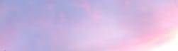 Taminad’s Substack