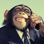 Monkey's avatar