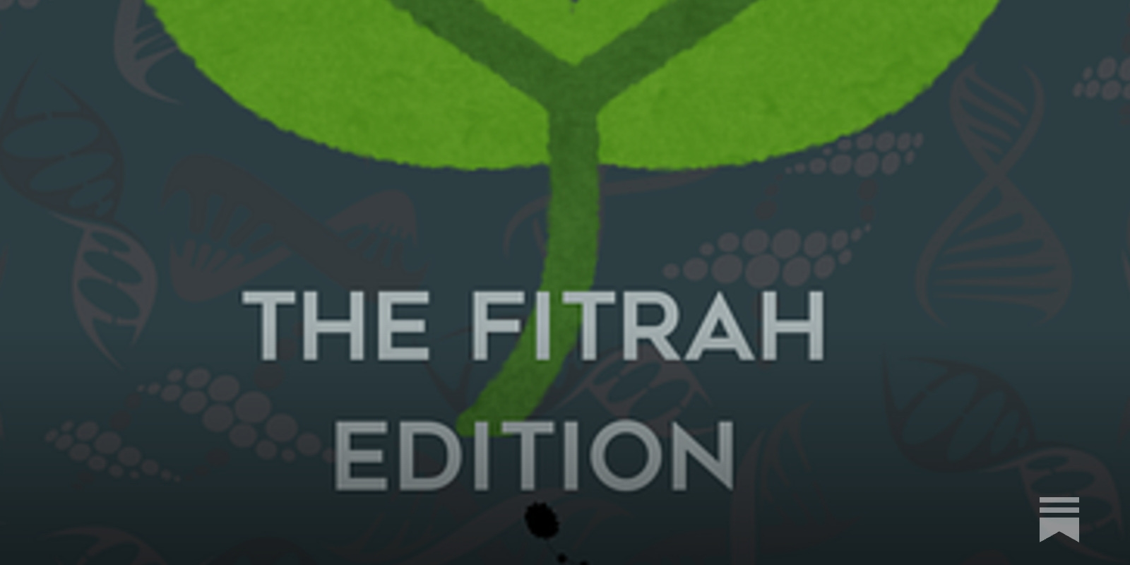 8 DDN - The Fitrah Edition - by Faisal Amjad