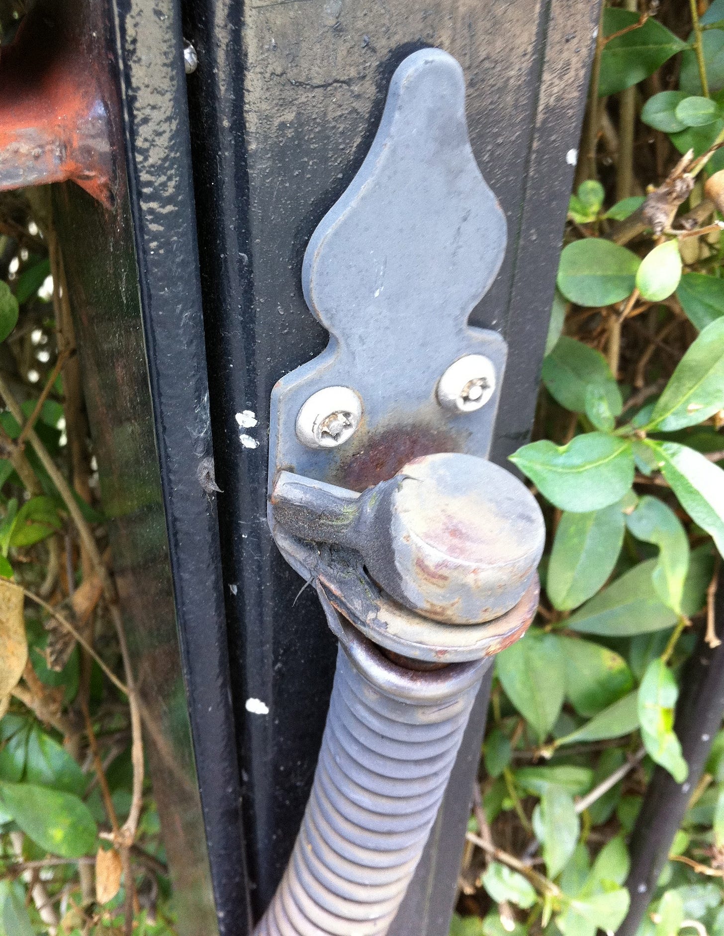 Close-up of the spring, looking, thanks to pareidolia, like the cheeriest l'il spring that ever sprung. 