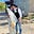 Jenny M's avatar