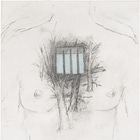 ONLY CONNECT ~ January