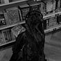 ℋ˖*°࿐'s avatar