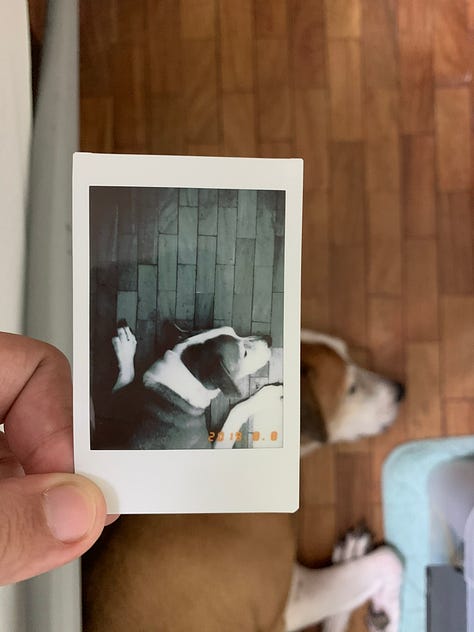 Instax Mini LiPlay camera