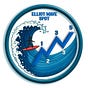ElliottWaveSpot's avatar
