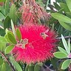 "Do it as part of the dance"