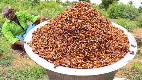 Termites as human foods—A comprehensive review