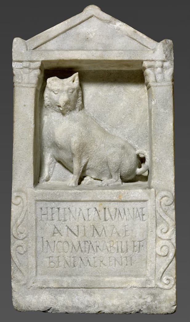 Marble grave relief with image of a dog in a small shrine, with Latin inscription below.