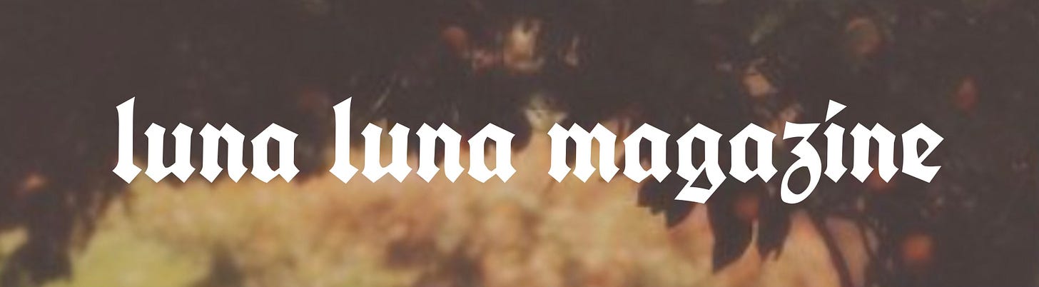 Screenshot from the website of Luna Luna Magazine featuring magazine’s name in heavy, ornate white lettering against the background of a blurred photograph where you can make out dark leaves and pale flowers.