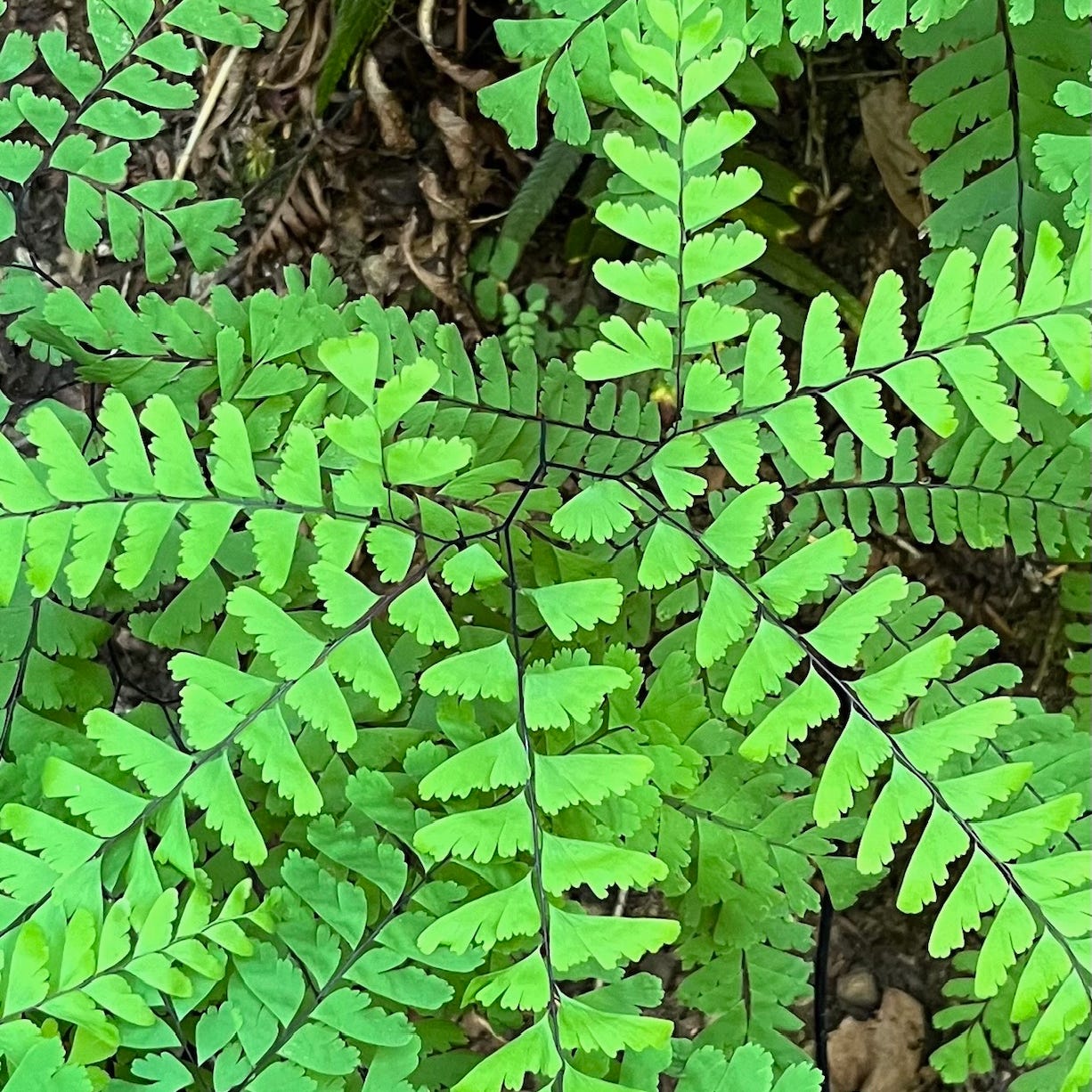 Imagining A Better Nonprofit Sector