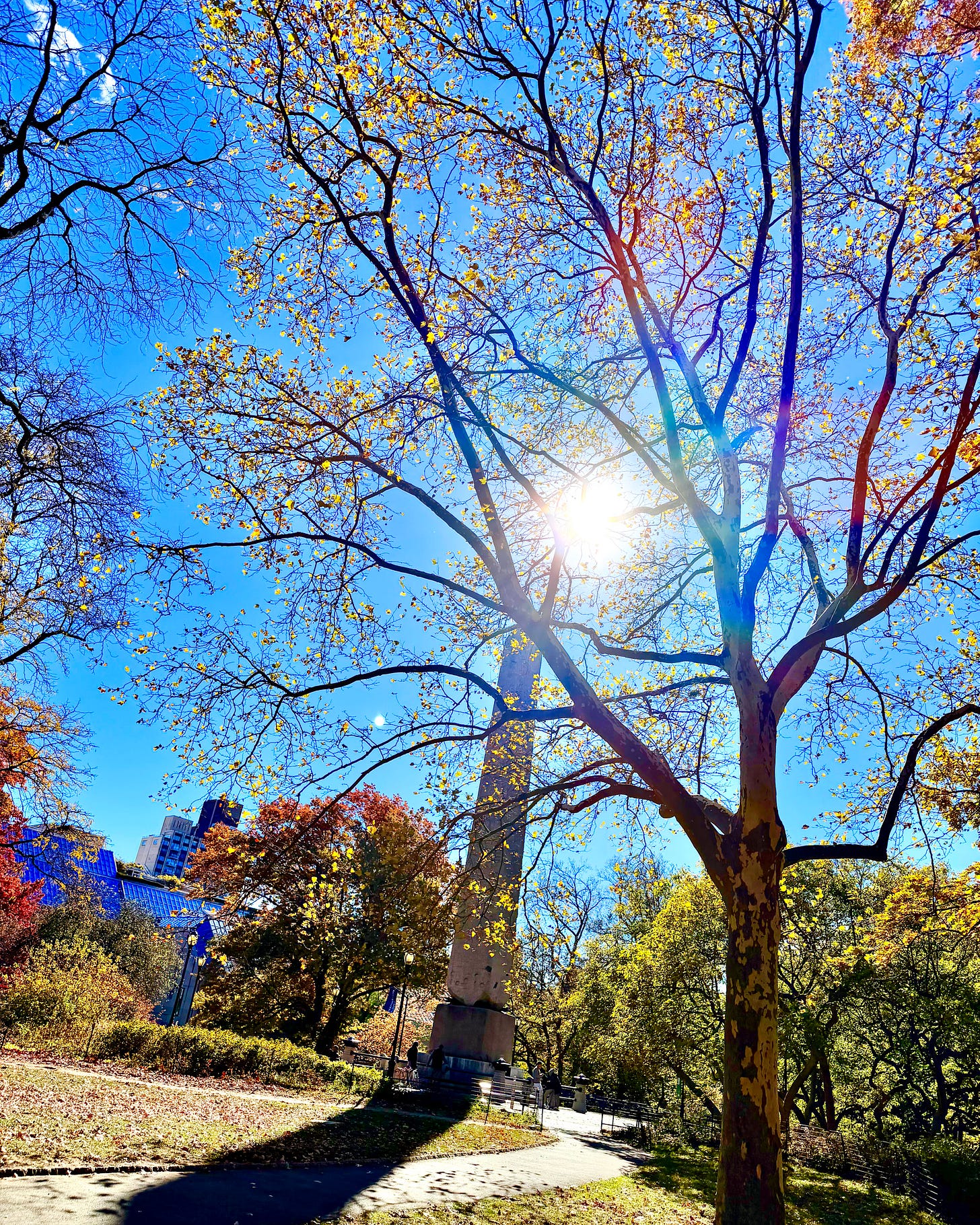 ©Photograph by Sam Sunshine - Cleopatra's Needle - Central Park New York