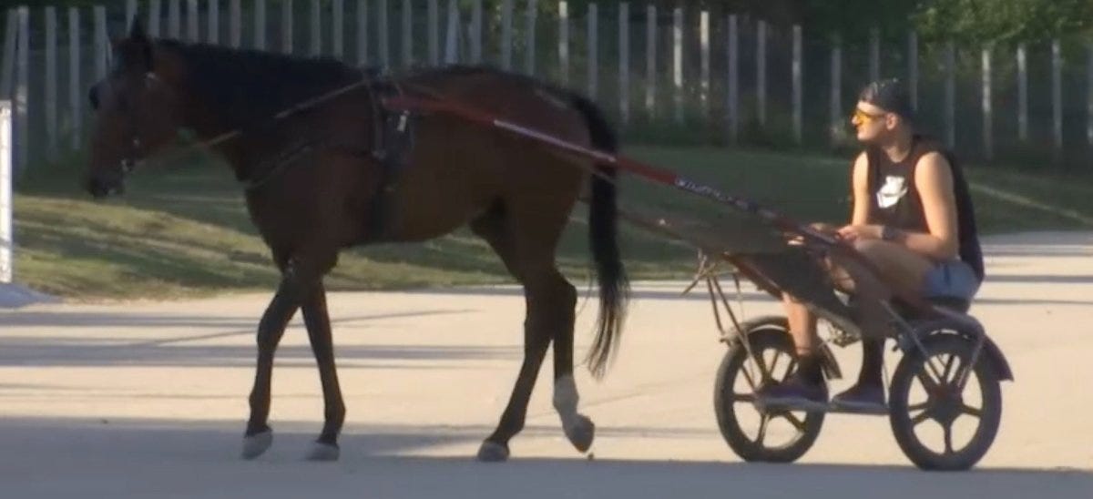 Nikola Jokic Casually Riding Horses In Serbia a Few Days After Winning The  2021 MVP - Fadeaway World