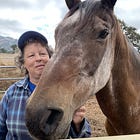 Sunday E-dition: Sunrise Horse Rescue Continues Its Mission