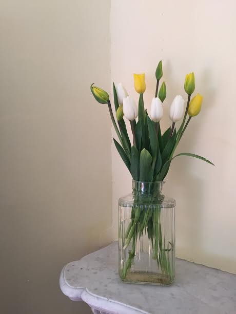 bedroom tulips half open bedroom tulips half open