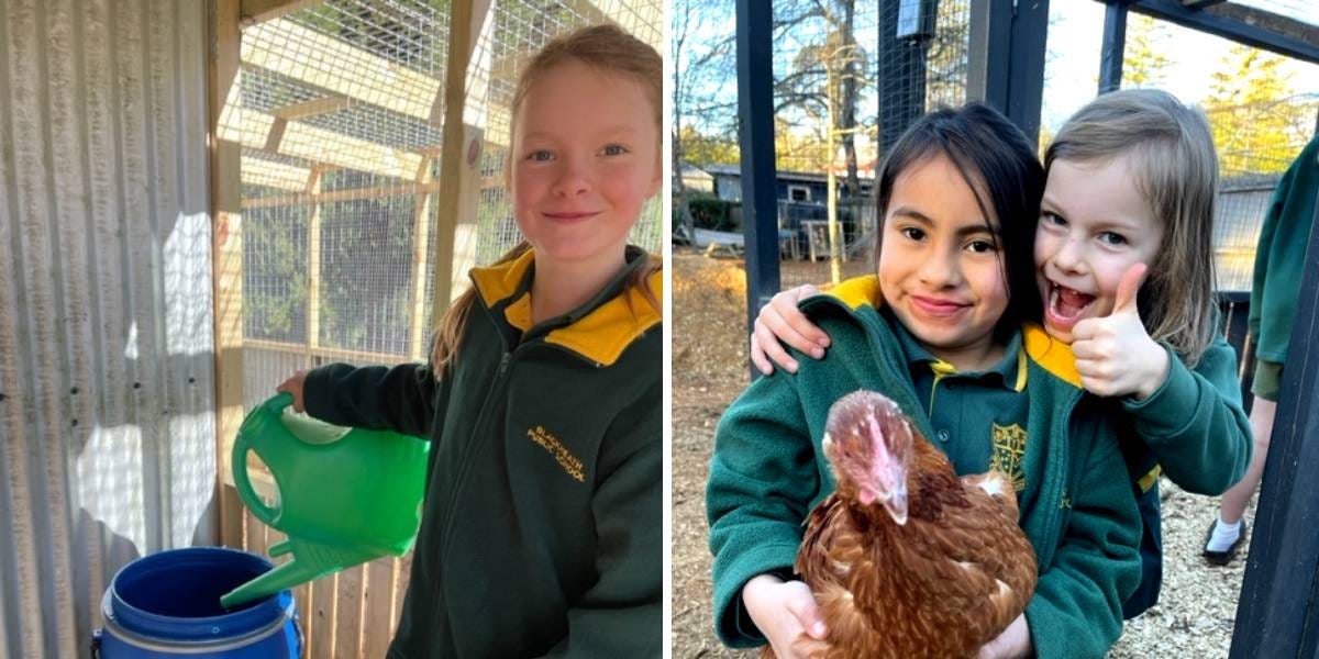 Ella filling up the chickens’ water and Emilia and Lucy having some chicken time. 