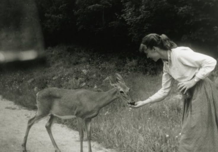 This may contain: an old photo of a woman feeding a deer