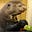 AngryOtter's avatar