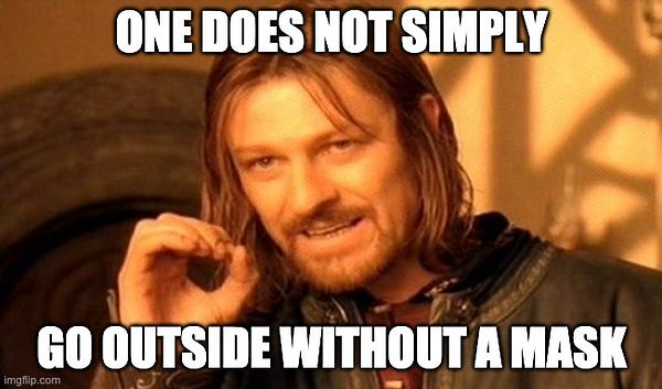 Boromir saying "One does not sipmly go outside without a mask"