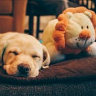 Hype, Lies, And AI Slop Are *Exactly* What MAGA Wants In LA Protest 'News'