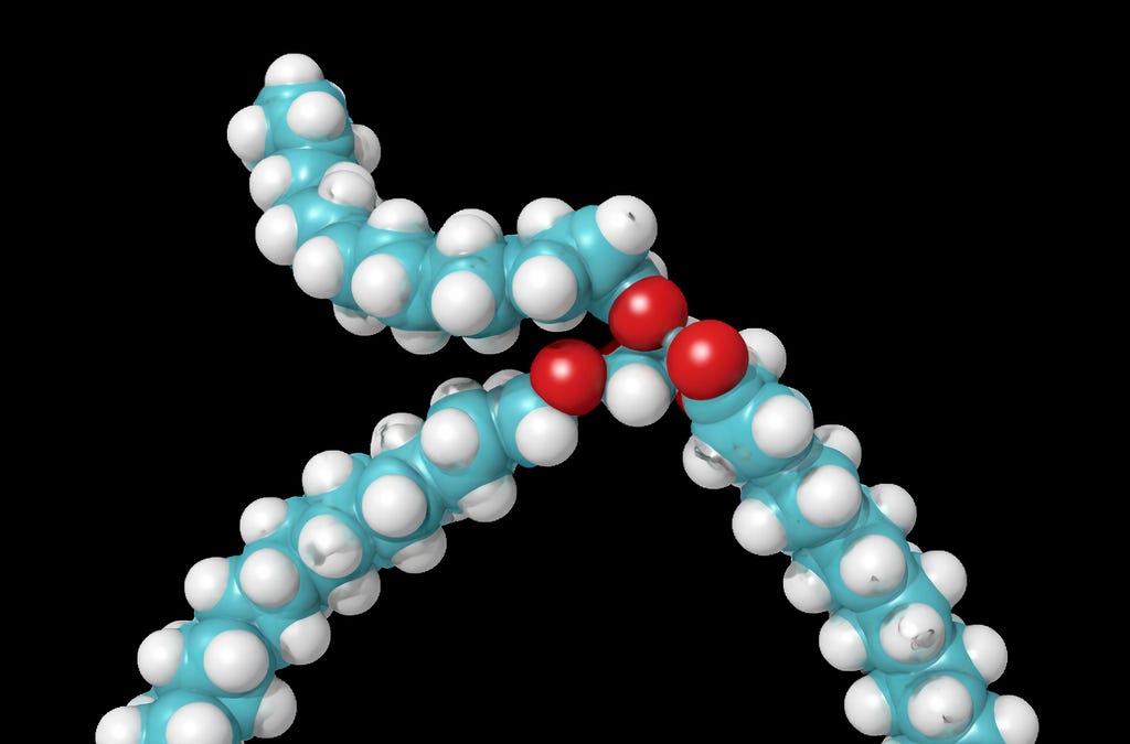 Triglycerides: the misunderstood lipid that keeps other lipids behaving ...