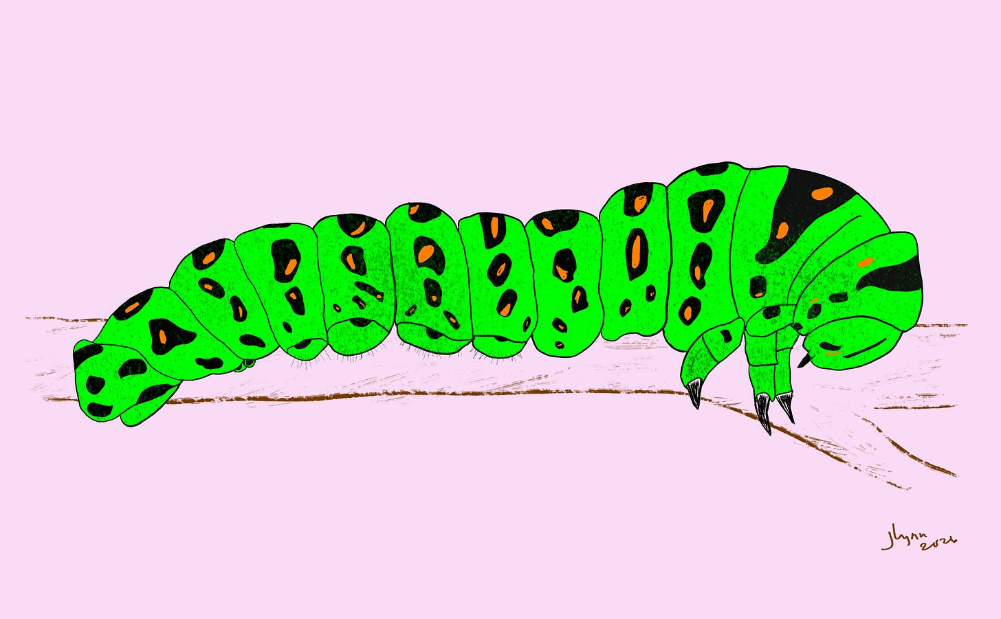 a digital sketch by JL Tooker: a brilliant green caterpillar with orange and black markings inching along a twig, on a light pink background