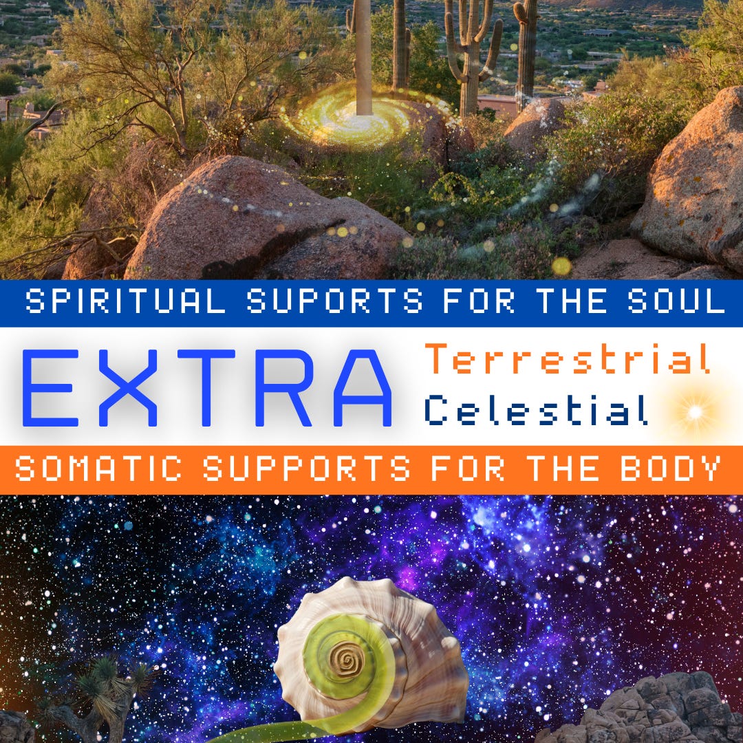 EXTRA-terrestrial/celestial