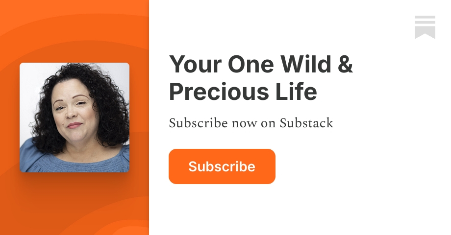 Your One Wild & Precious Life | Substack