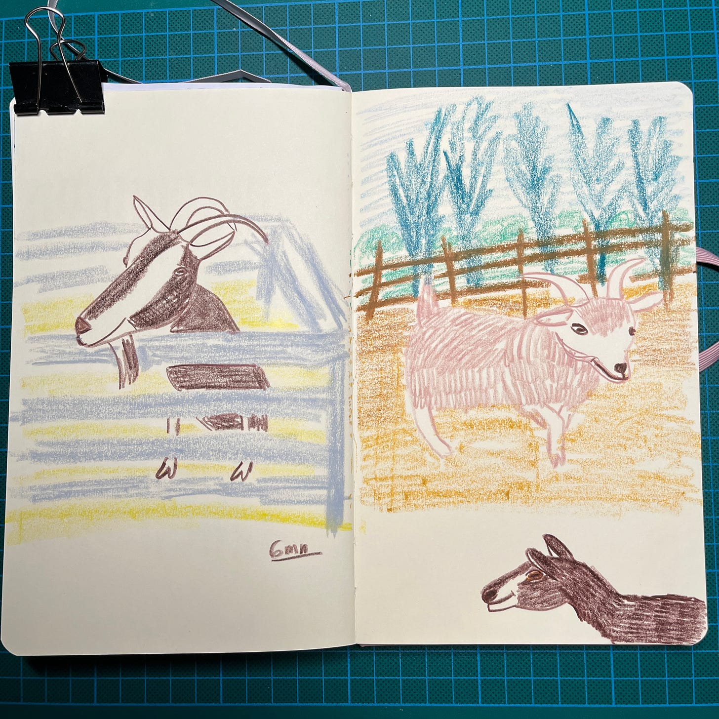 Photo de la double-page où j'ai fait 3 dessins de chèvres. Photo de la double-page où j'ai fait 3 dessins de chèvres.