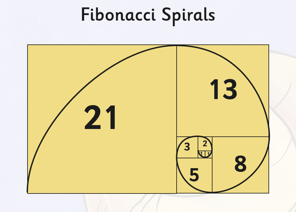 What is the Fibonacci sequence? - Answered - Twinkl teaching Wiki
