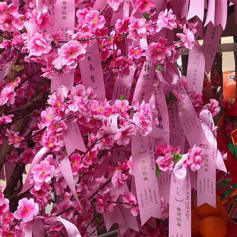 Emma-Lee’s Substack