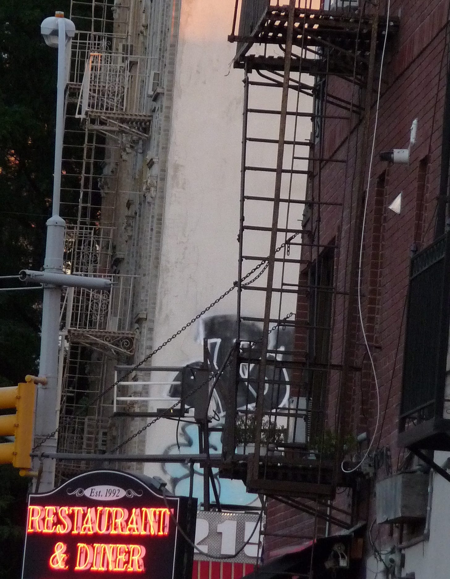 P1040417 P1040417