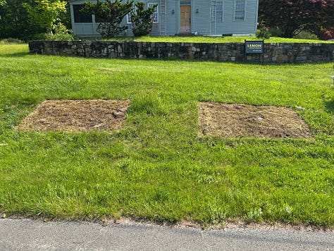 Three pictures showing process of killing off grass to make way for a garden.