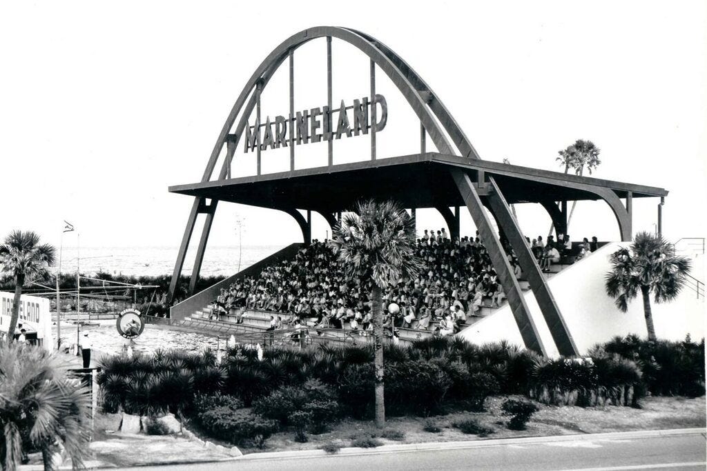 vintage shot of marineland vintage shot of marineland